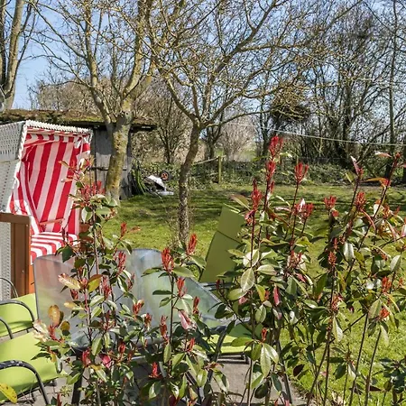 Deichgraf 2 דירה