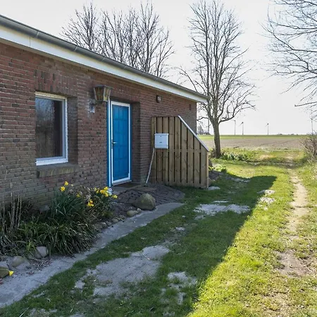 Deichgraf 2 Friedrichskoog