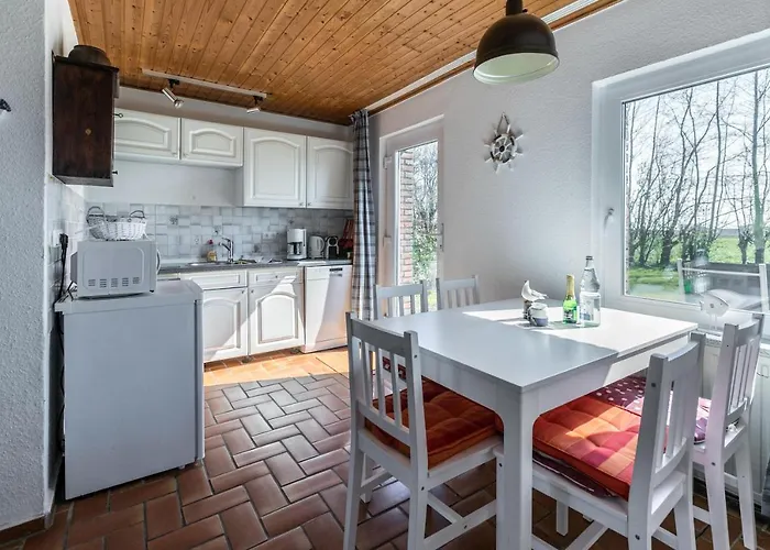 Deichgraf 2 Friedrichskoog