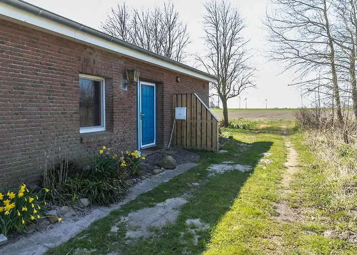 Deichgraf 2 Friedrichskoog