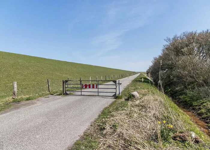 Deichgraf 2 Friedrichskoog